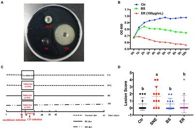 Bacillus subtilis DSM29784 attenuates Clostridium perfringens-induced intestinal damage of broilers by modulating intestinal microbiota and the metabolome